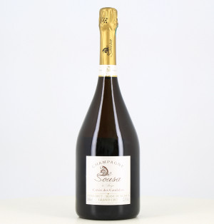 Magnum Champagne Grand Cru Cuvée des Caudalies - De Sousa

Magnum di Champagne Grand Cru Cuvée des Caudalies - De Sousa