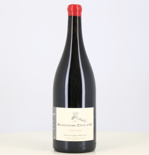Magnum vin rouge Bourgogne Côte d'Or 2021 Henri Magnien