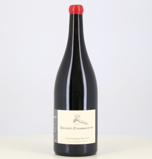 Magnum Rotwein Gevrey Chambertin 2021 Henri Magnien