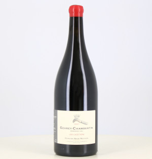 Magnum di vino rosso Gevrey Chambertin 1er cru Cazetiers 2021 Henri Magnien.