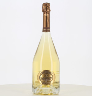 Magnum Champagne 1er Cru Blanc de Blancs NV Frerejean Frères

Translation: Magnum Champagne 1st Growth Blanc de Blancs NV Frerej