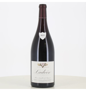Magnum de vino tinto Ladoix Ravaut Gaston & Pierre 2022.