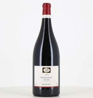 Magnum Bourgogne Rouge Pinot noir Jean-Marc Pillot 2019