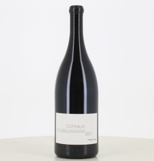 Magnum red wine Coteaux Bourguignons Marthe Henry 2021