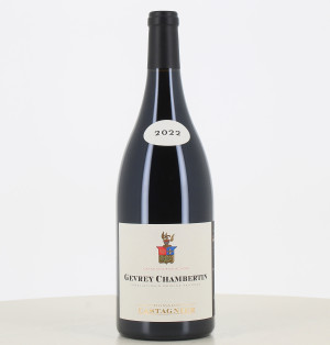 Magnum red Gevrey Chambertin 2022 from Castagnier estate