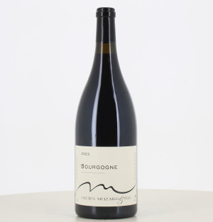 Magnum red Burgundy Domaine Muzard 2023
