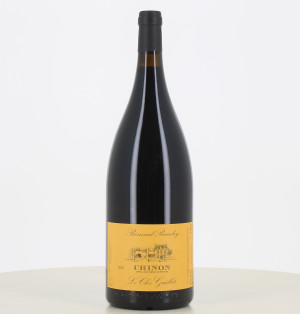 Magnum Chinon Rouge Clos Guillot Baudry Bernard 2022