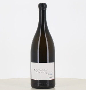 Magnum Borgoña blanco 2022 Marthe Henry