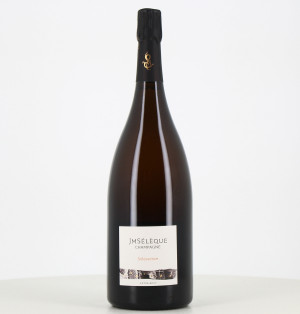 Magnum Champagne Solessence extra brut