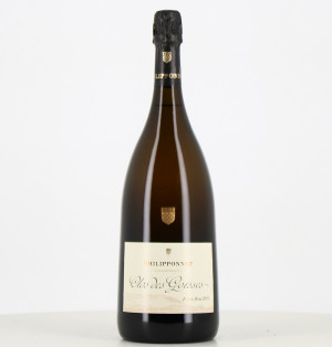 Magnum Champagne Philipponnat Clos des Goisses 2010