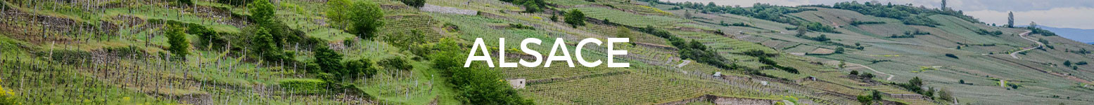 Magnums de vin blanc d'Alsace - Grands Formats