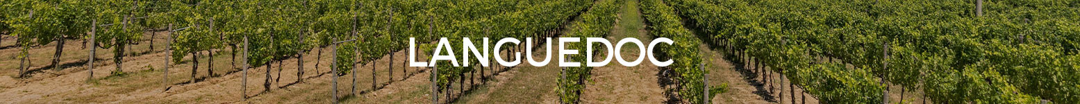 Magnums de vino blanco de Languedoc
