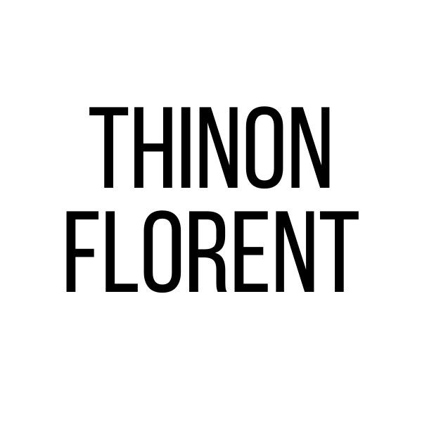 Domaine Thinon Florent logo