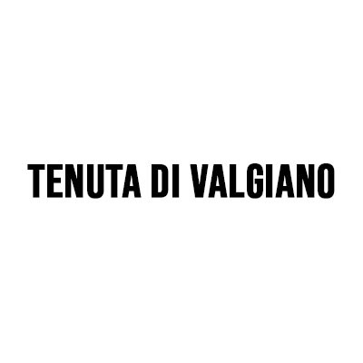 Domaine Tenuta di Valgiano logo