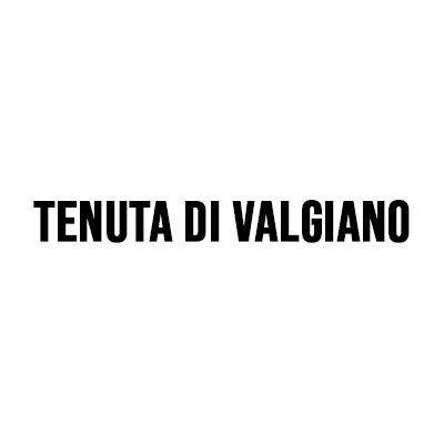 Domaine Tenuta di Valgiano logo