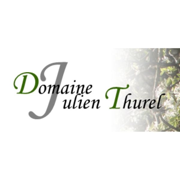 Domaine Thurel Julien logo