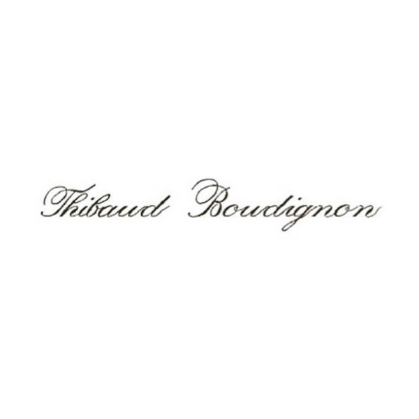 Domaine Boudignon Thibaud logo