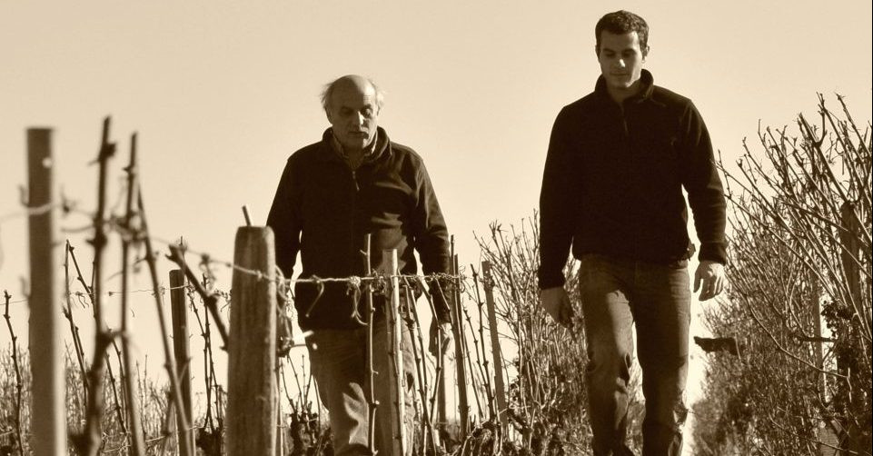 Bergman's Bourgogne: Interview with David and Arnaud Lavantureux at Domaine  Roland Lavantureux – Lignorelles