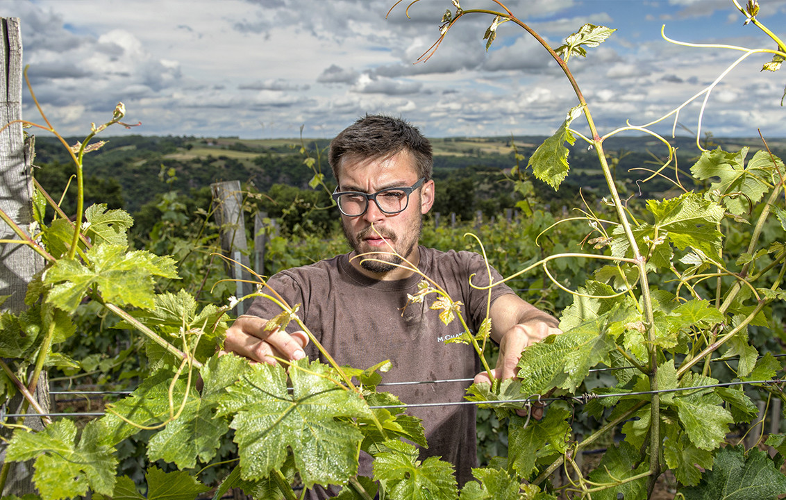 Domaine Chapoutier