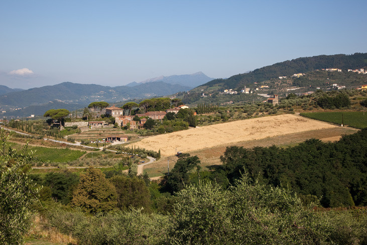 Domaine Tenuta di Valgiano