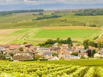 Un Voyage Éblouissant dans le Monde des Champagnes Prestigieux